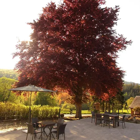 Appartement Jagdschloss Siedlinghausen 1