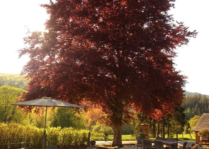 Lejlighed Jagdschloss Siedlinghausen 1