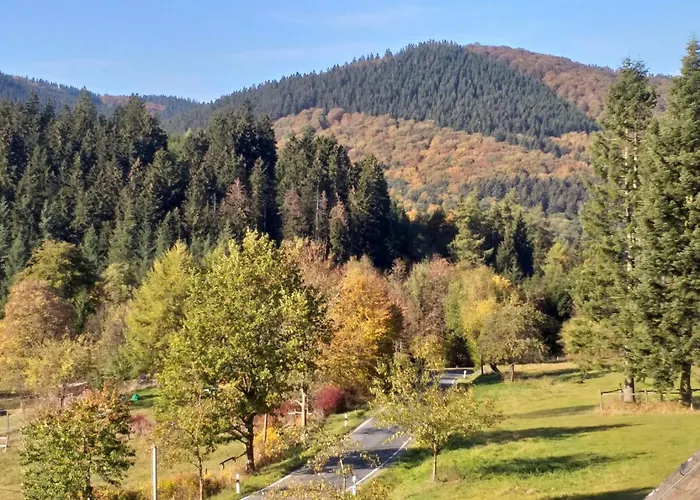 Jagdschloss Siedlinghausen 1 *